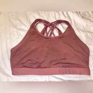 Pink Mesh Fabletics Sports Bra (1X)